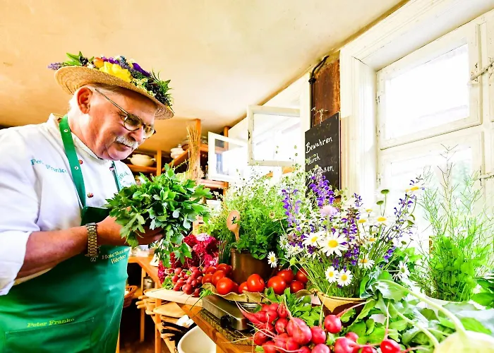 Hotel Zum Stern Spreewald Werben (Brandenburg)
